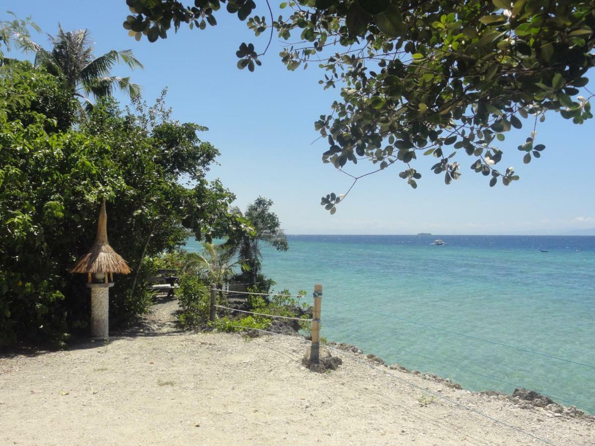 Guest house Sea Turtle House 3*