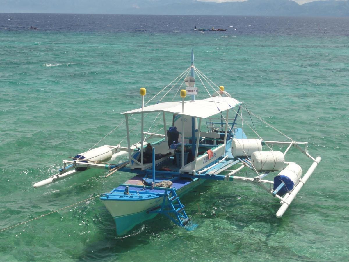 Sea Turtle House