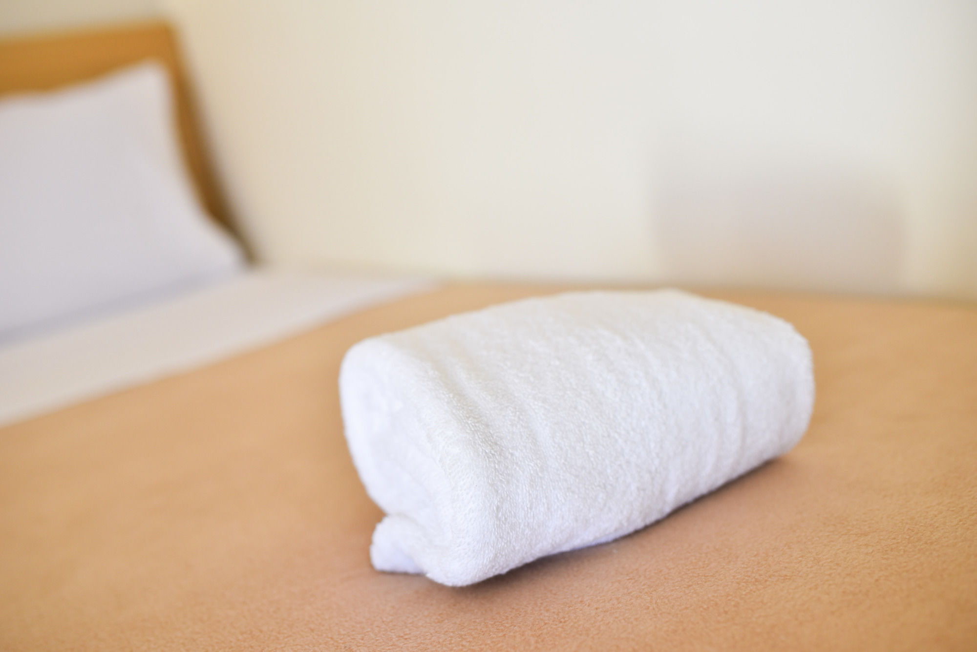 Hotel Chambre Mactan Hotel