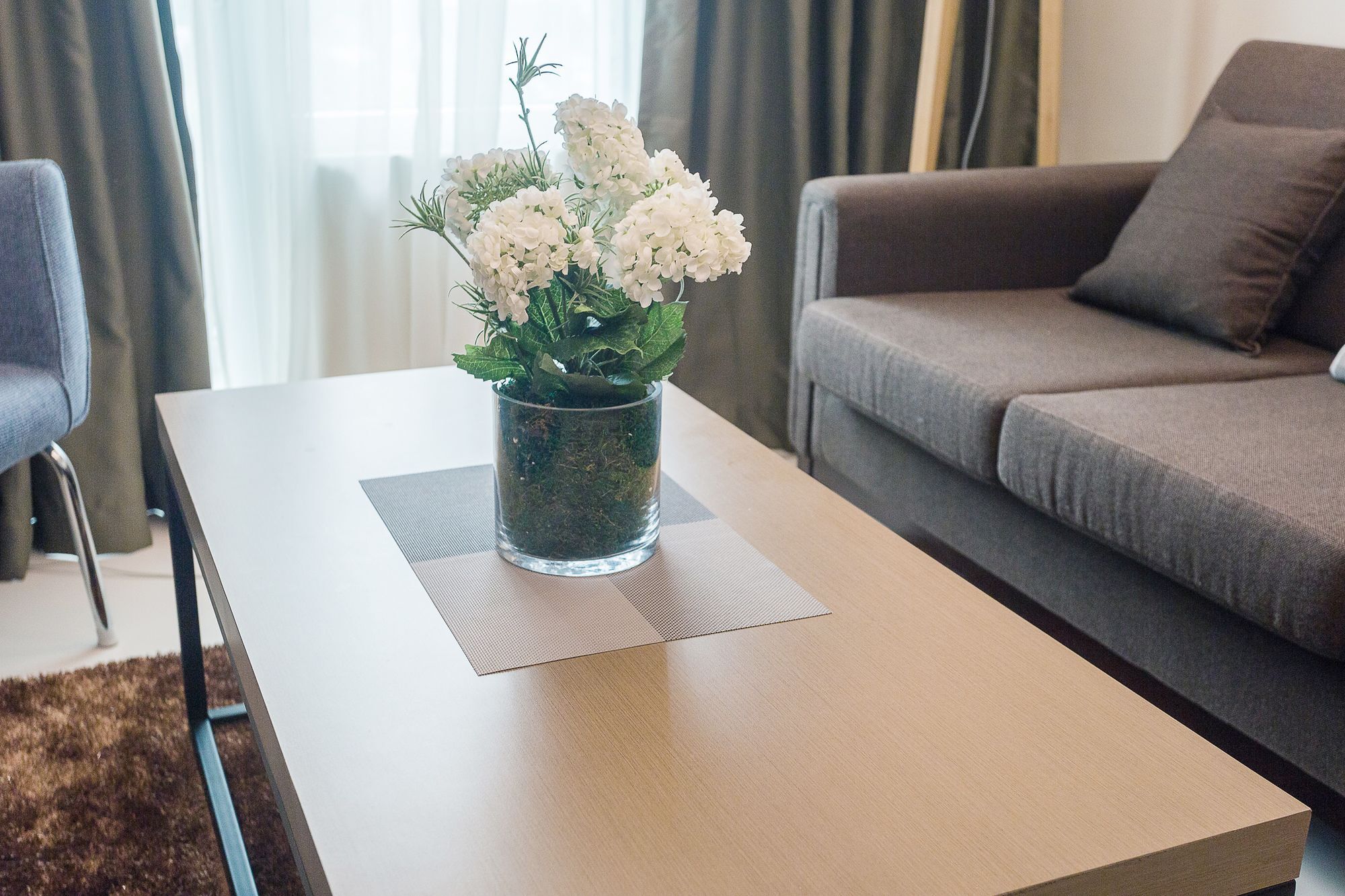 Padgett Place Deluxe Apartment