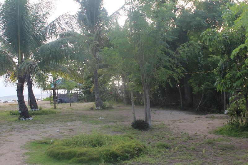 Anaya Guest house