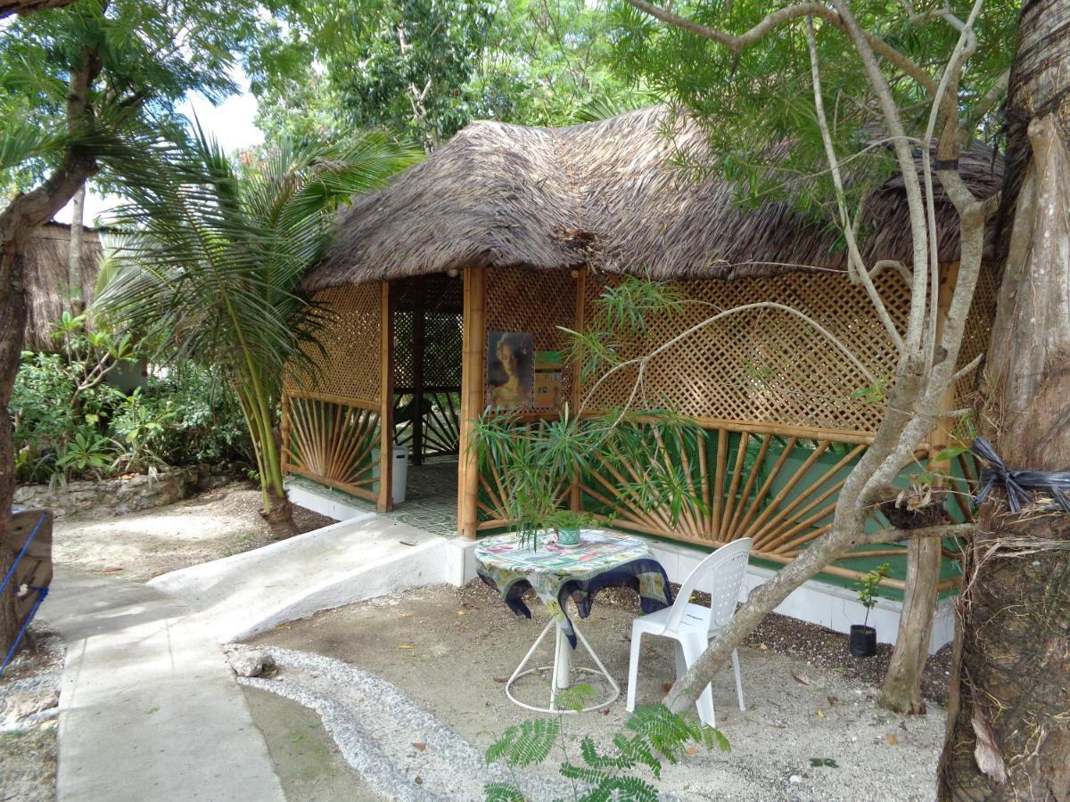 Sea Turtle House Guest house Moalboal