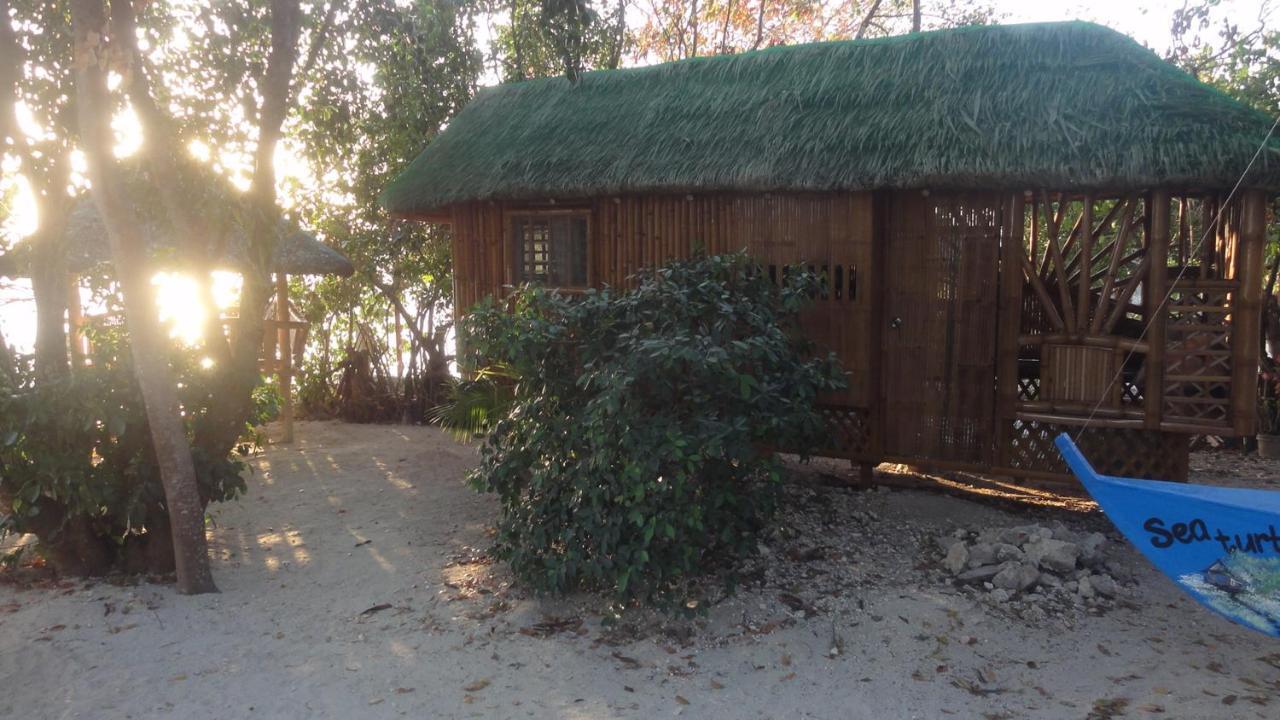 Sea Turtle House