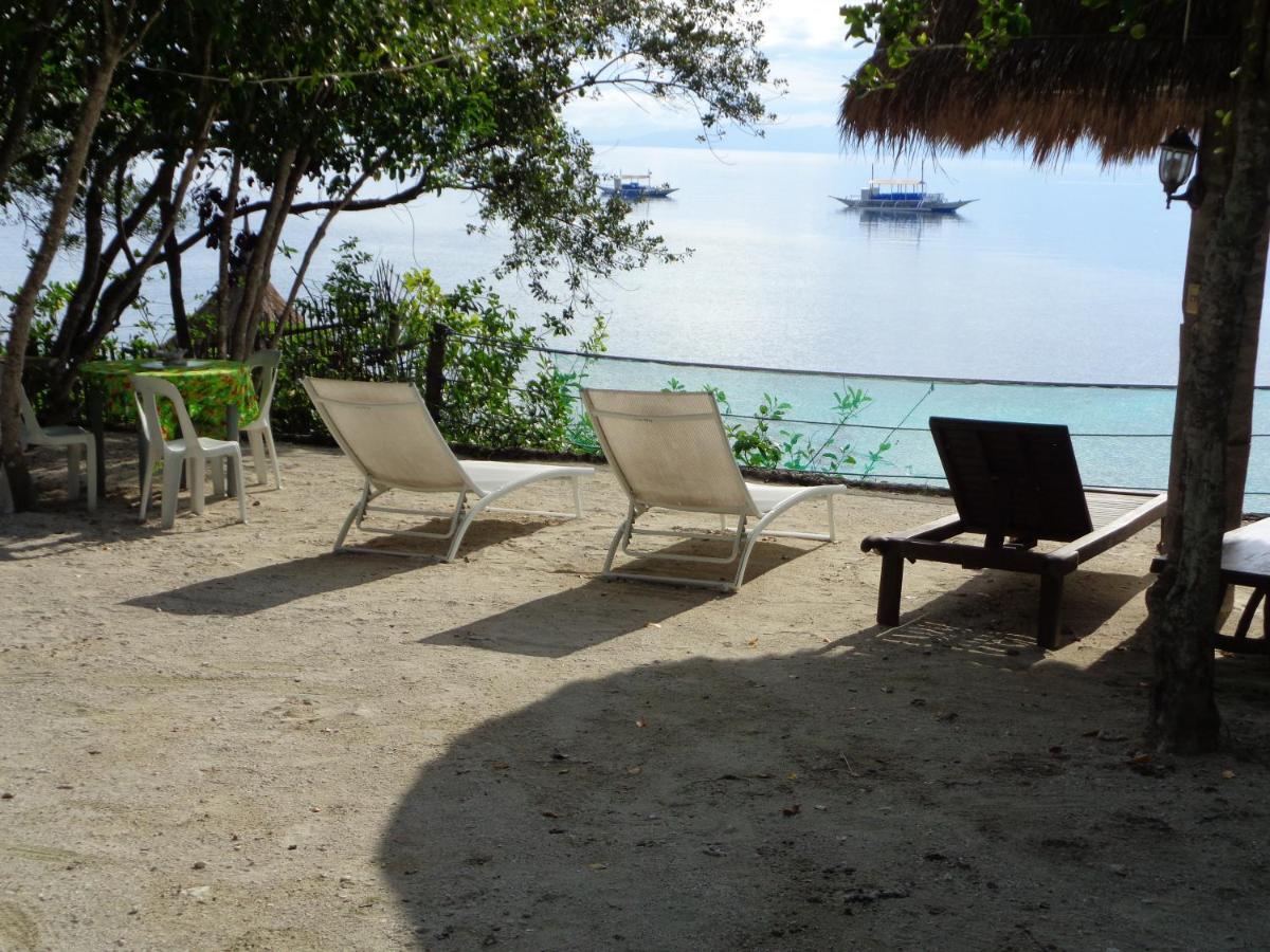 Sea Turtle House Guest house 3*