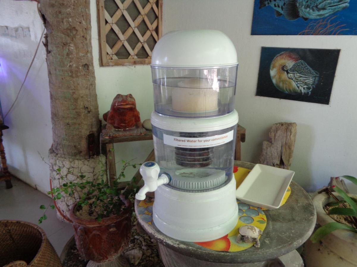 Sea Turtle House