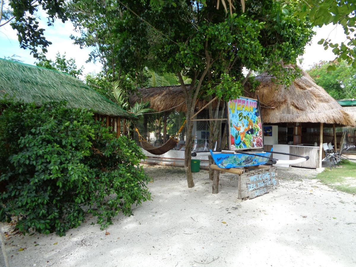 Sea Turtle House