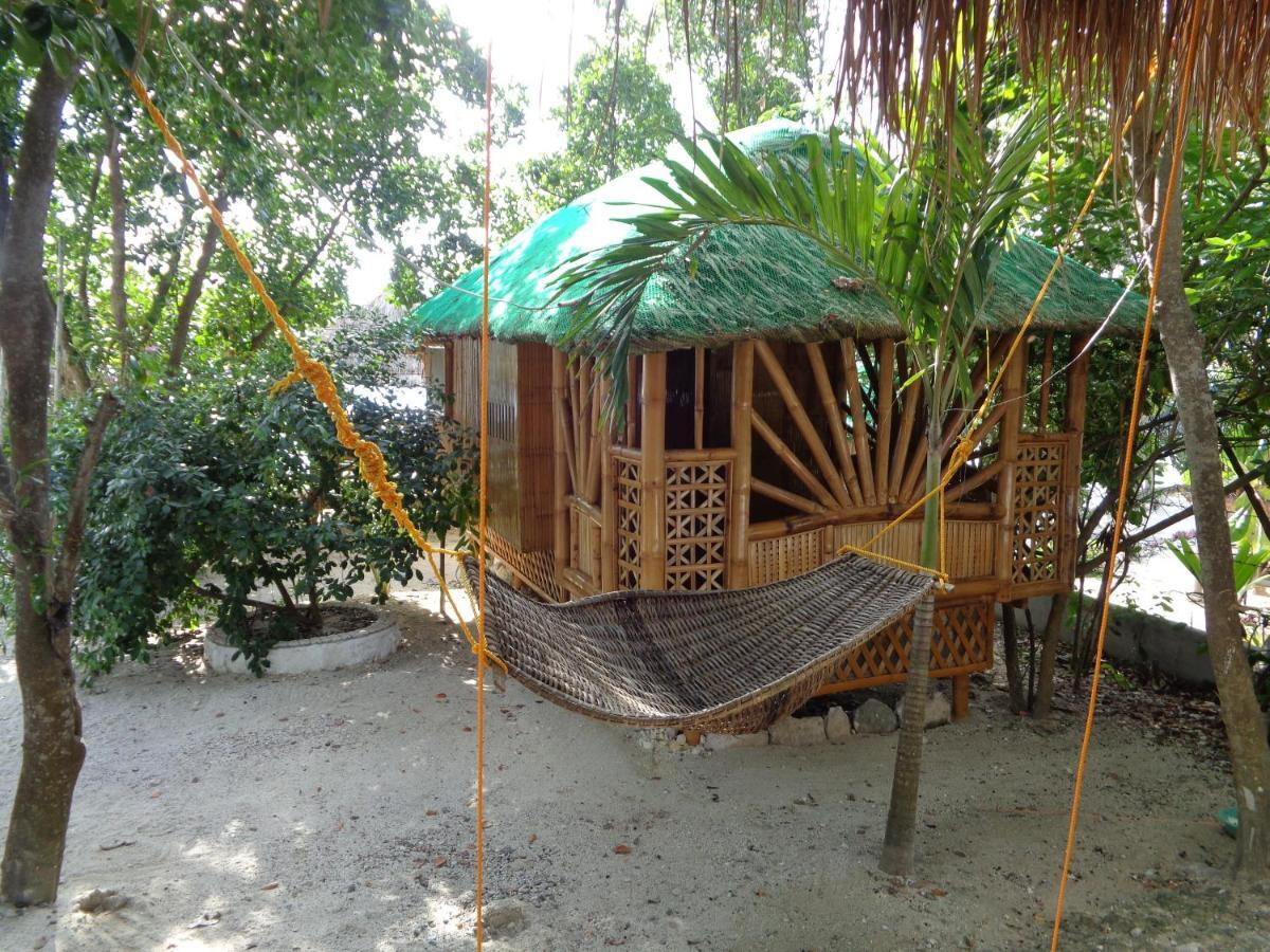 Sea Turtle House Guest house 3*