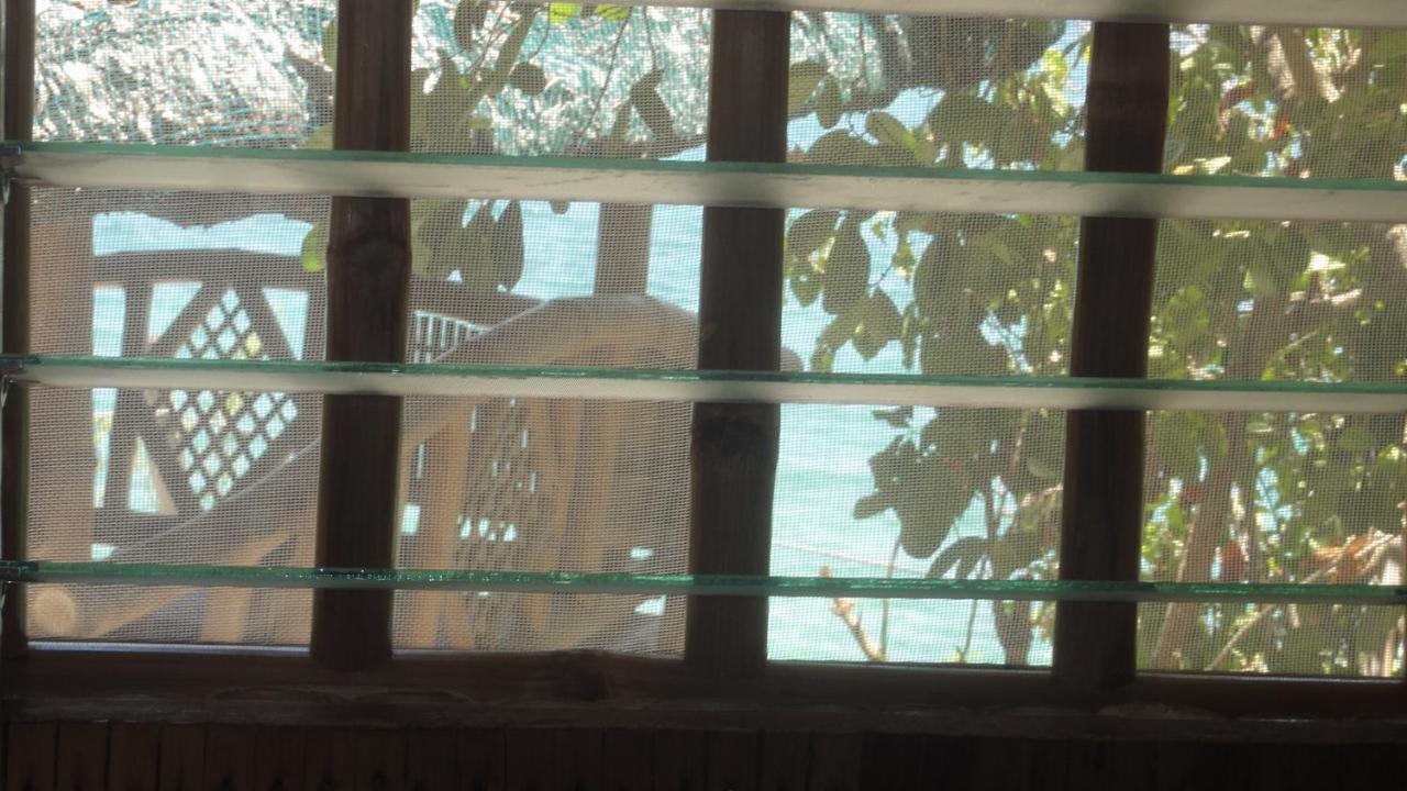 Sea Turtle House Guest house