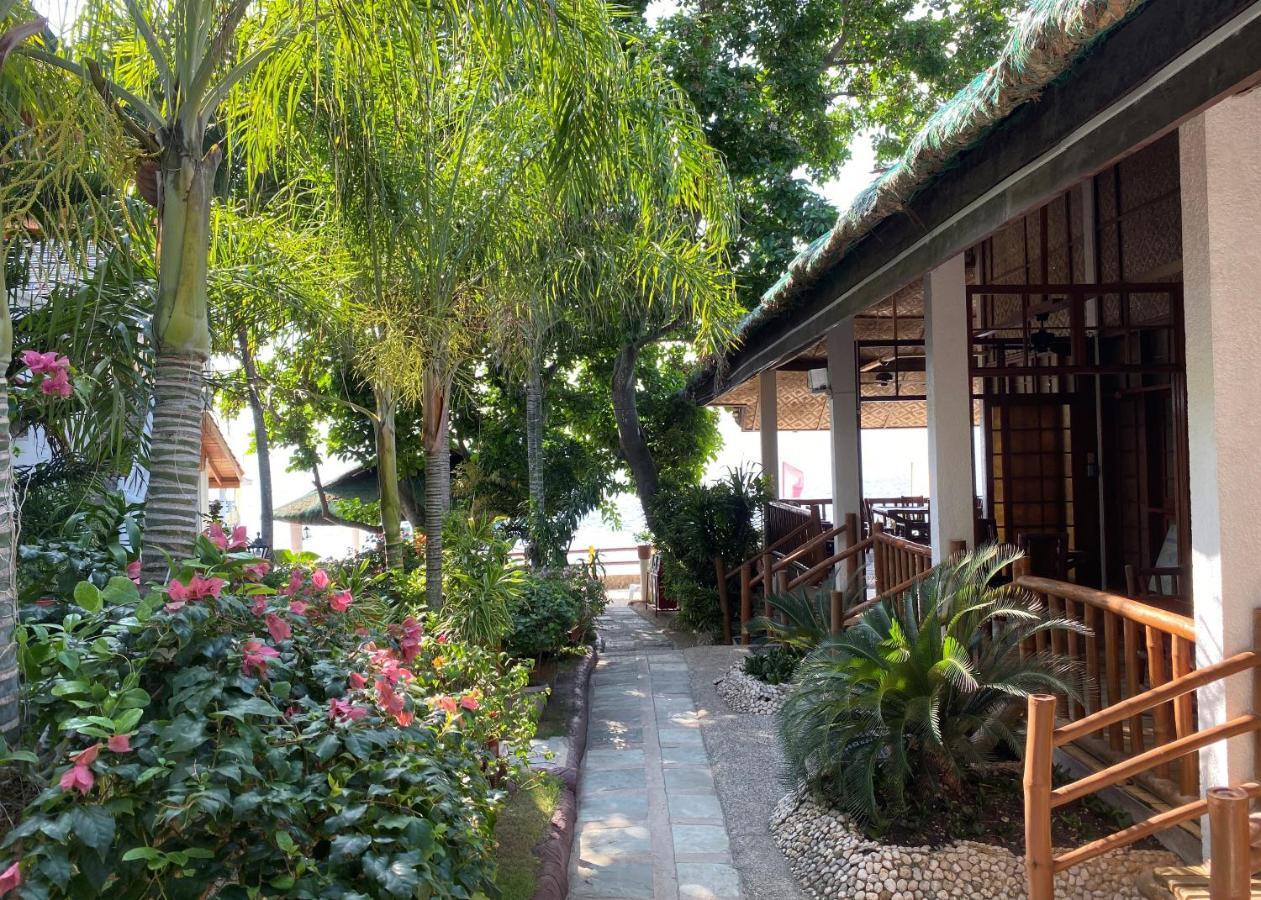 Resort Marina Village Moalboal
