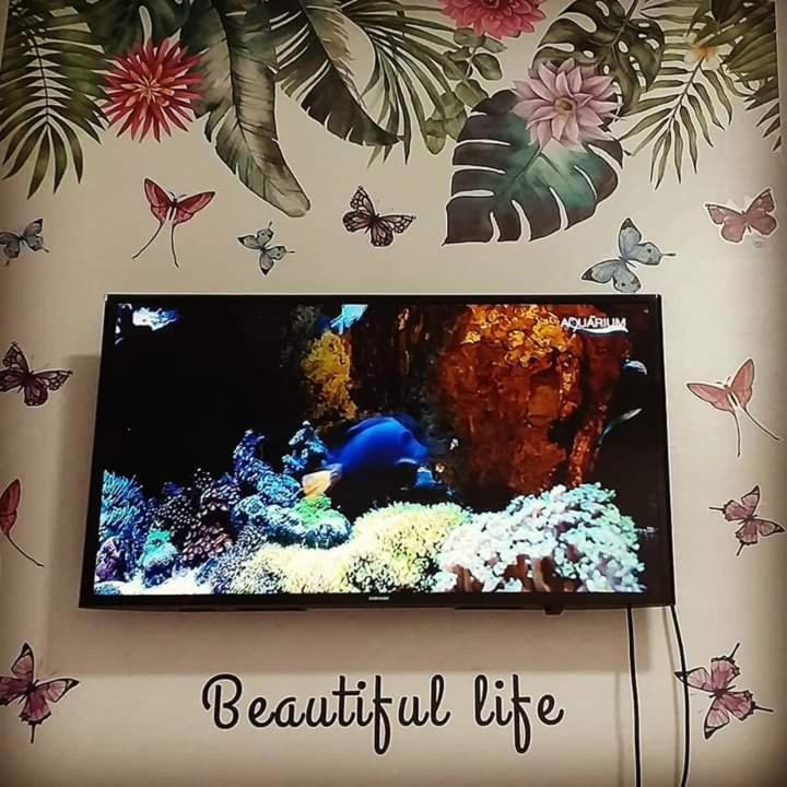 B Hive Homestay