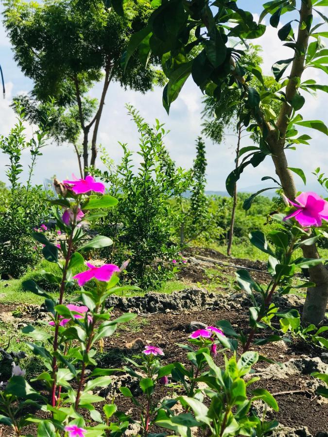 La Plumerias 2* Moalboal
