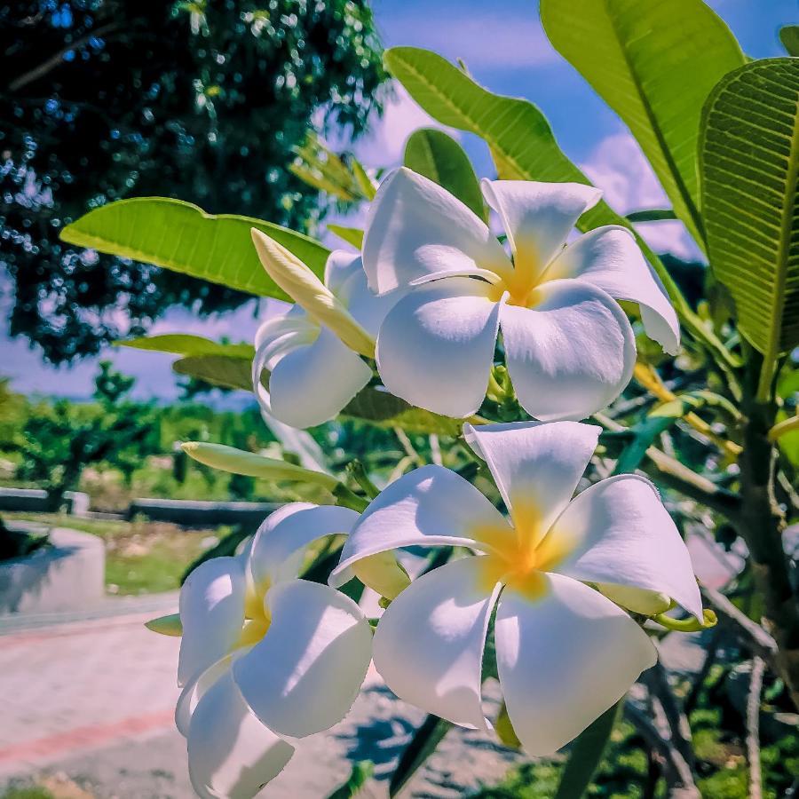La Plumerias Resort