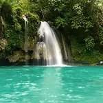 Moalboal Tropics