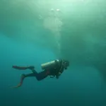 Moalboal Indino\'S Guesthouse Sardines Run And Sea Turtle 1 Minute Walking Distance