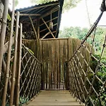 Treehouse De Valentine