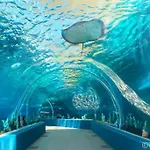 Pool, Wi-Fi & Netflix In Cebu It Park