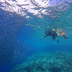Brandnew Scuba Resort