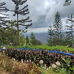 Island Skyview Resort - Jvr By Hiverooms