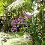 Maia\'S Beach Resort