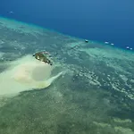 Nalusuan Island Resort And Marine Sanctuary