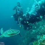 Asian Belgian Dive Resort