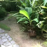 We Call It Rainbow Paradise