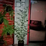 8Th Street Hostel