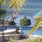 Moalboal Beach Resort