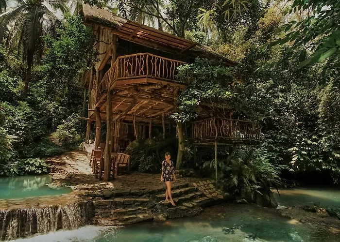 Treehouse De Valentine