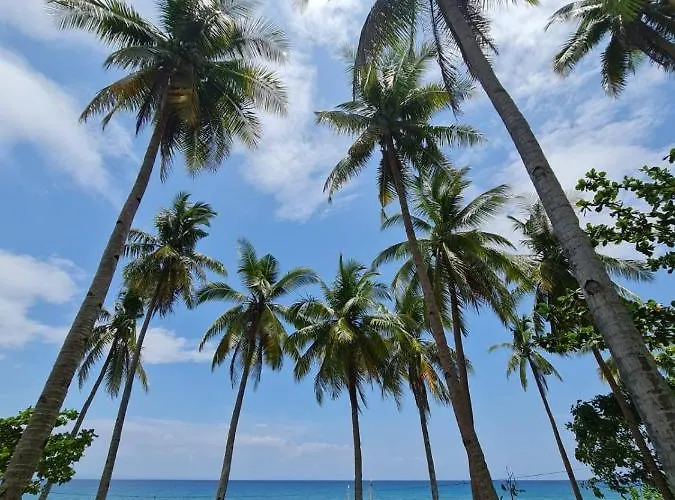 Camotes Palanas Beach Stay