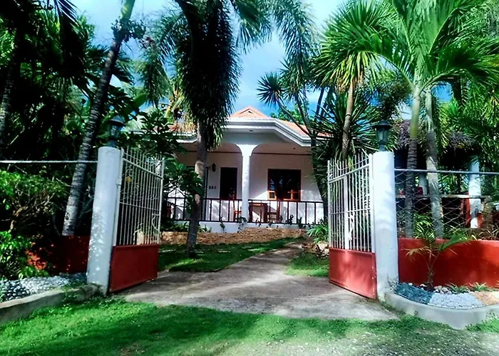 Palmera Palma Private 1-Br Bungalow In Moalboal