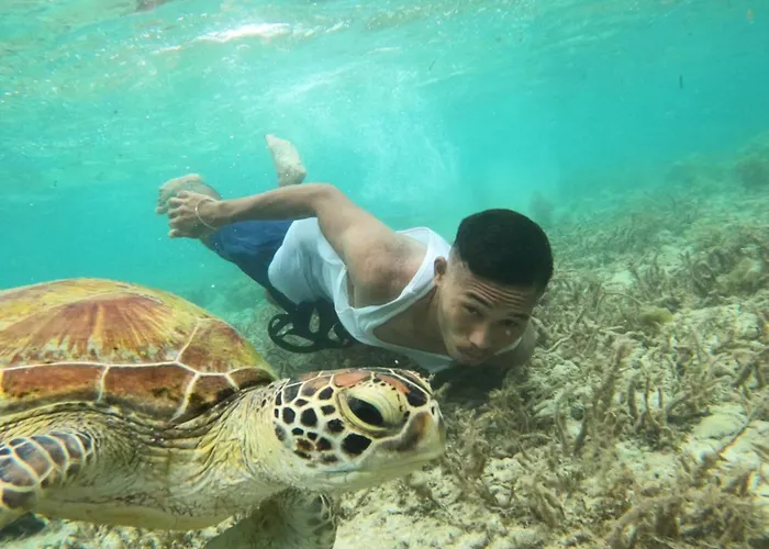 Moalboal Indino\'S Guesthouse Sardines Run And Sea Turtle 1 Minute Walking Distance