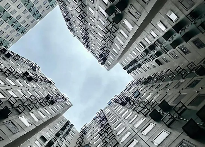The Urban Haven
