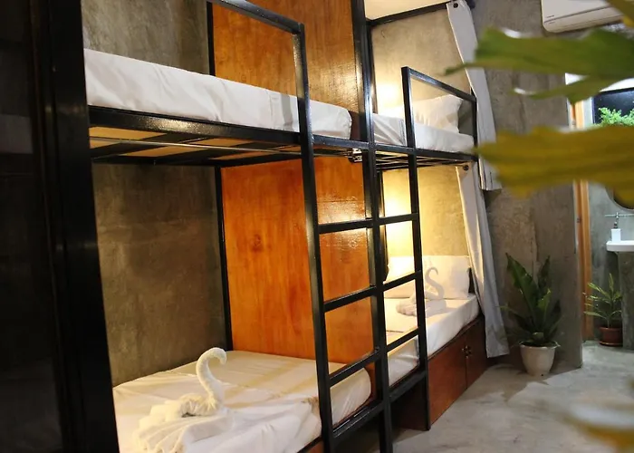 Hangover Hostel