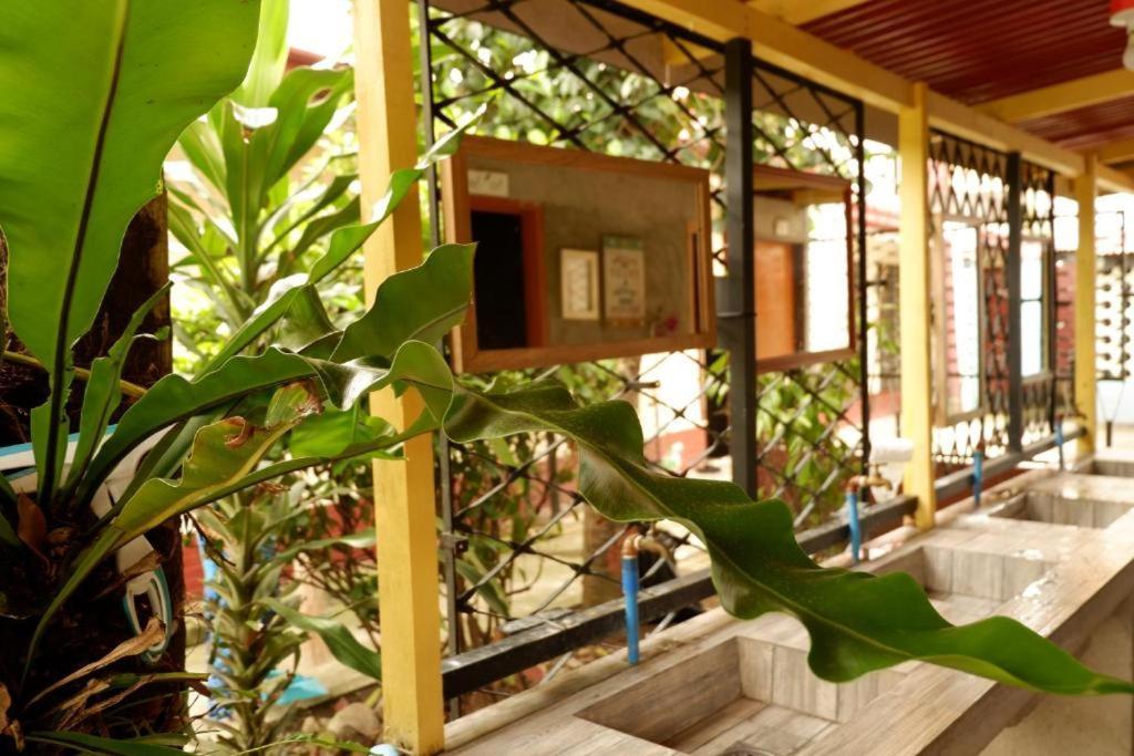 Tropical Breeze - Center Hostel Cebu