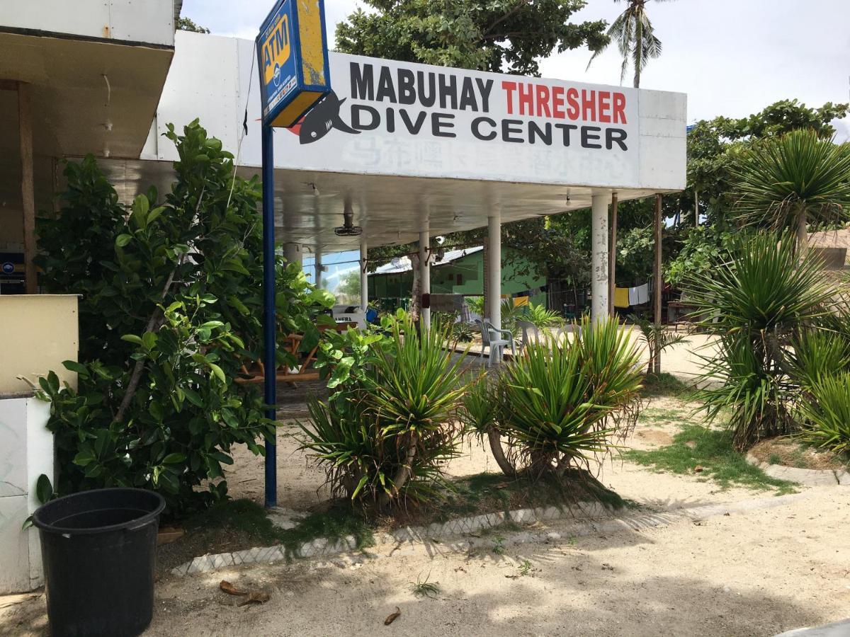Resort Mabuhay Thresher Dive