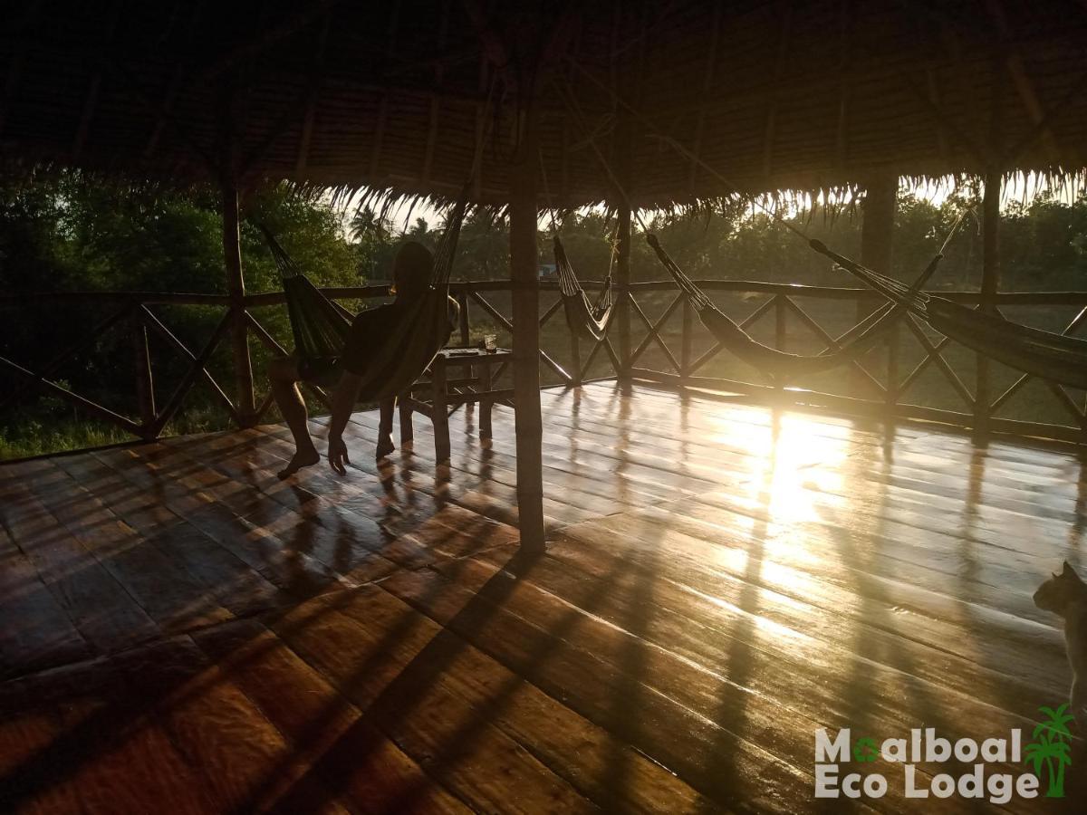 Lodge Eco