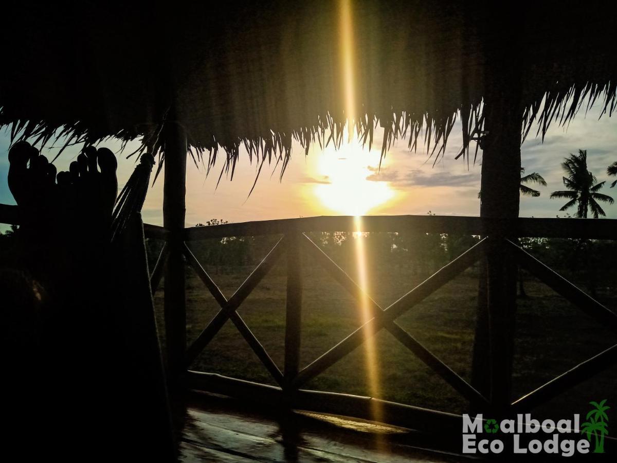 Eco * Moalboal