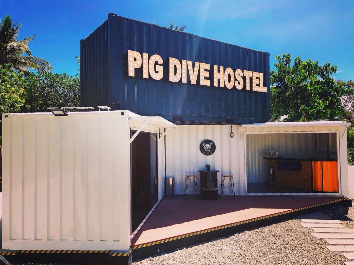 Pig Dive *