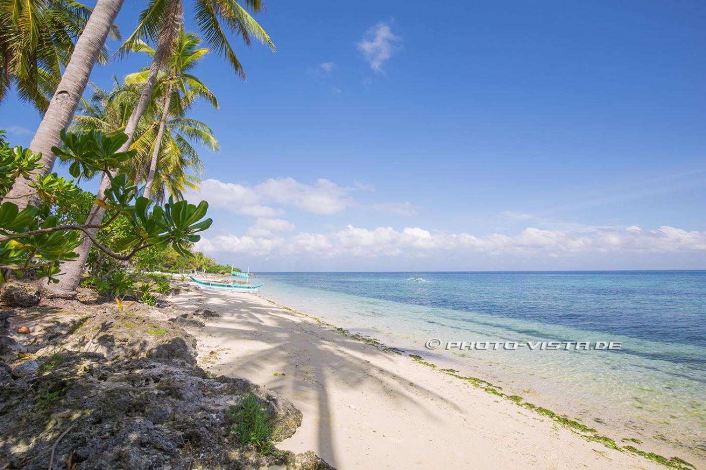 Camotes Eden Himensulan