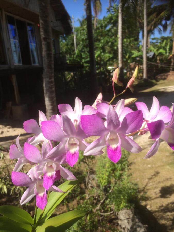 Guest house We Call It Rainbow Paradise 4*