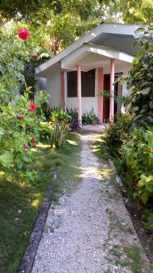 Resort Aloha Oslob