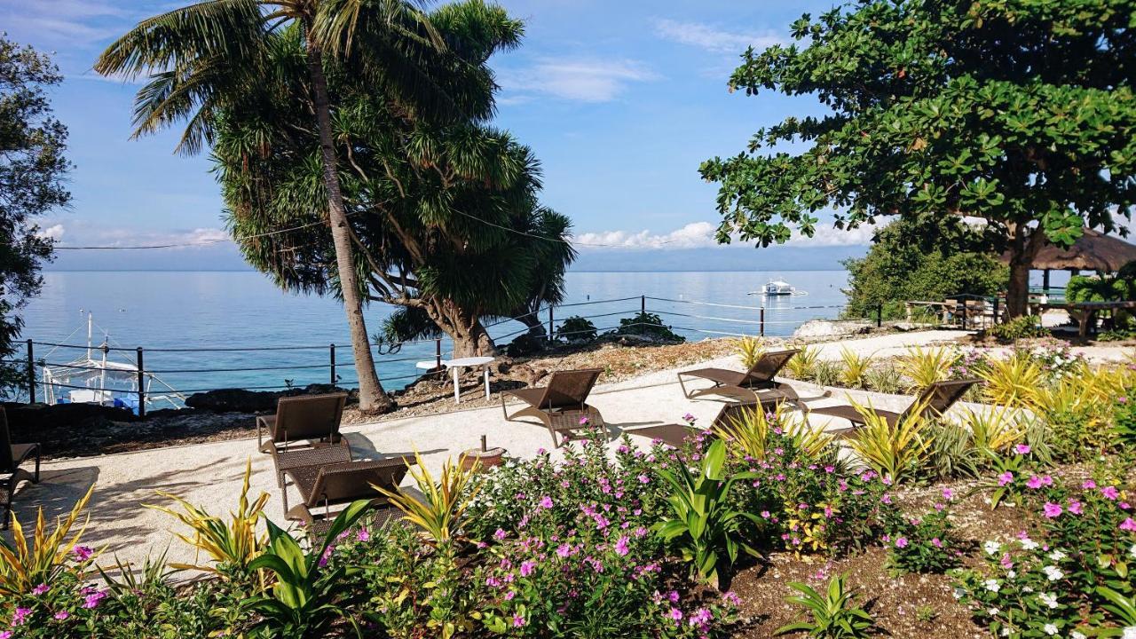 Cebu Seaview Dive Moalboal