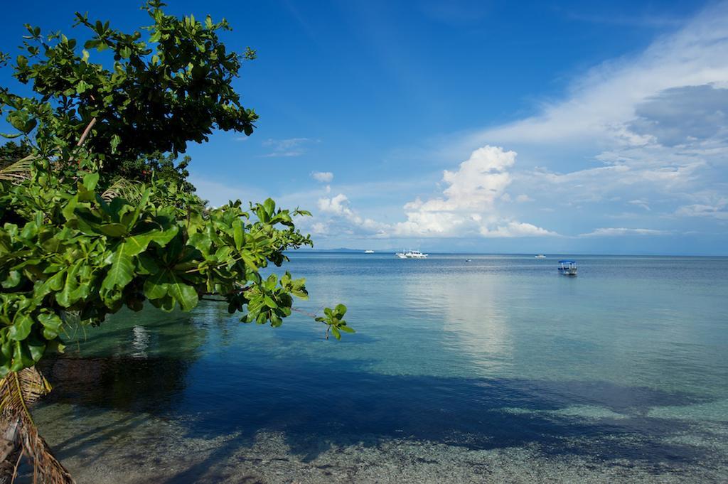 Resort Thresher Cove Dive