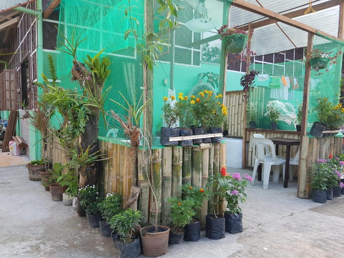 Flordeliza Budget Tourist Bed & Breakfast