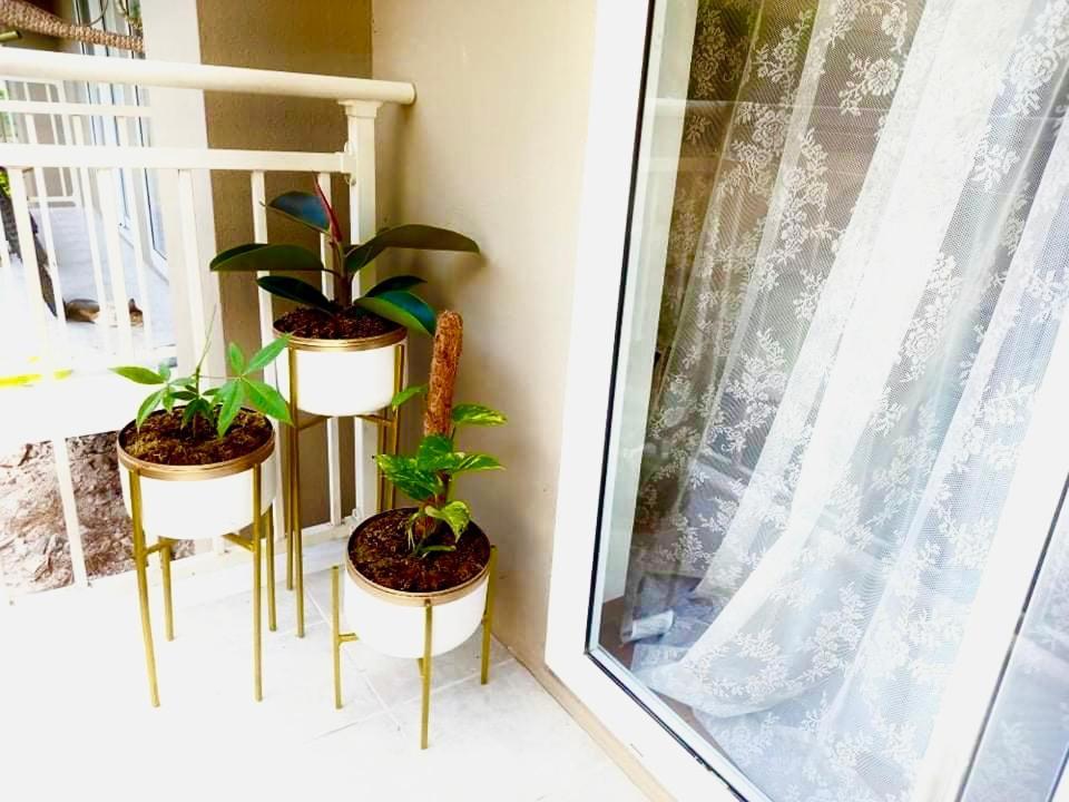 119 Amani Grand Mactan Apartment *