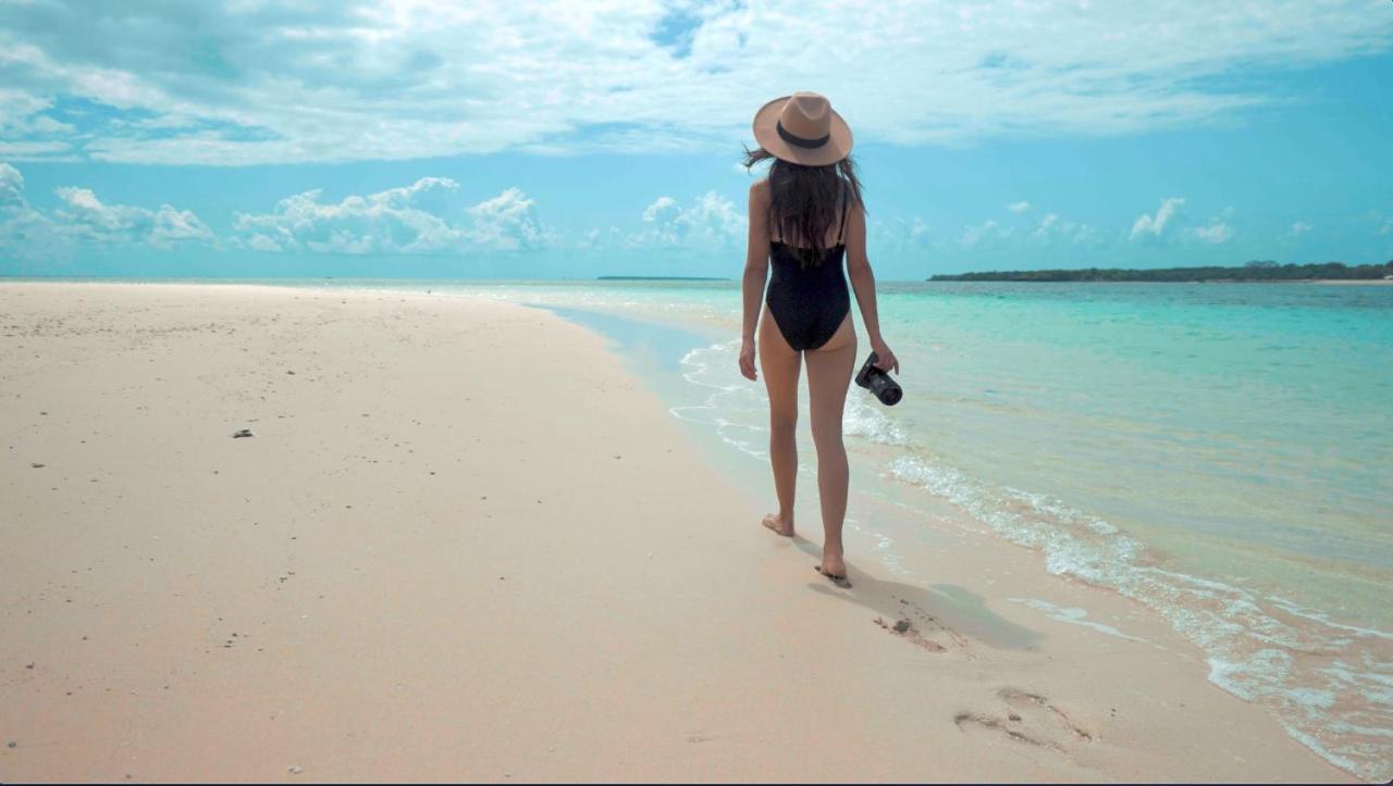 Rick's Paradise Reef