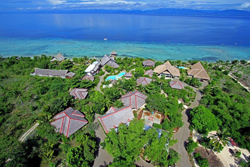 Dolphin House Moalboal