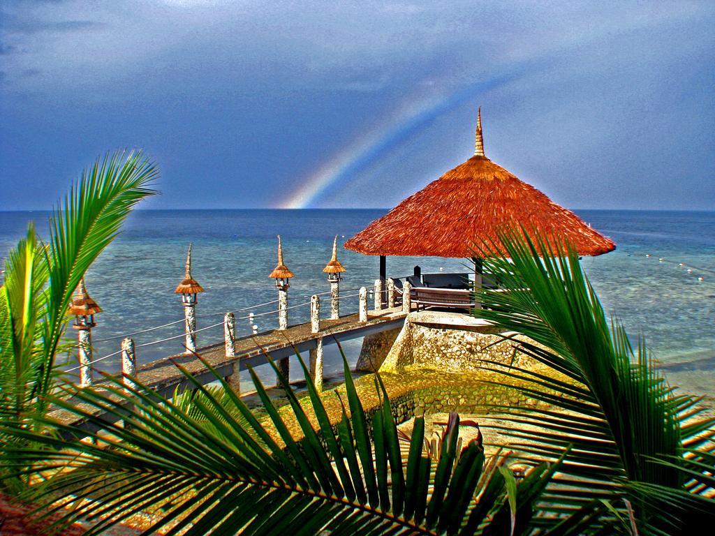 Resort Dolphin House 5*