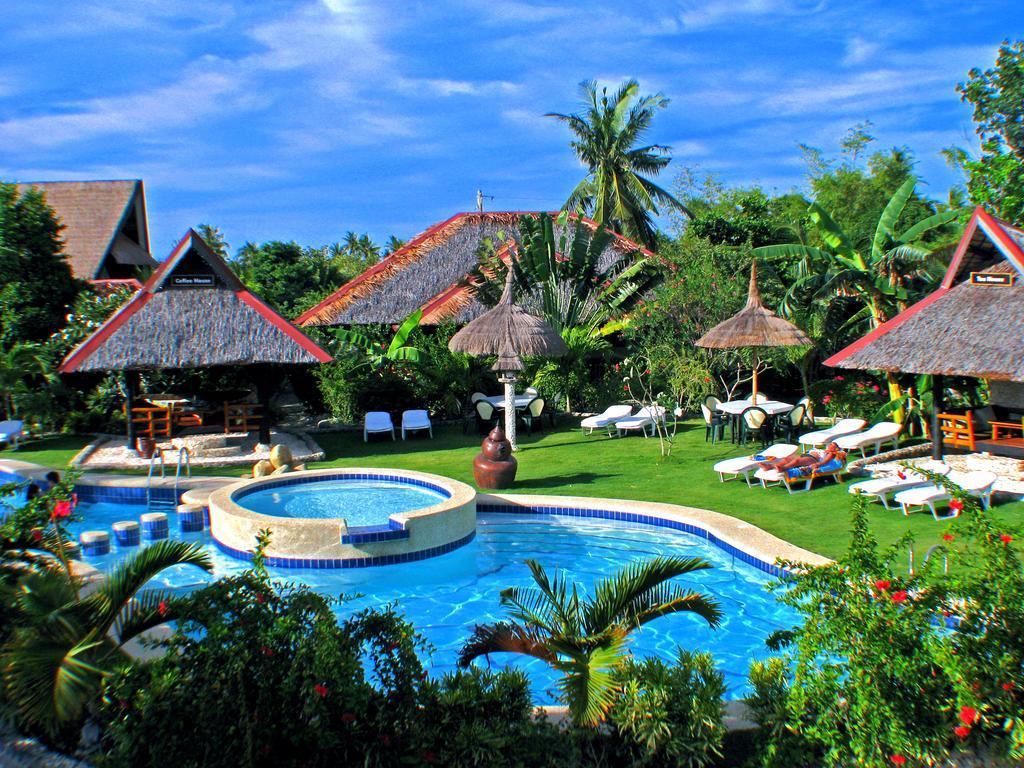 Dolphin House 5* Moalboal
